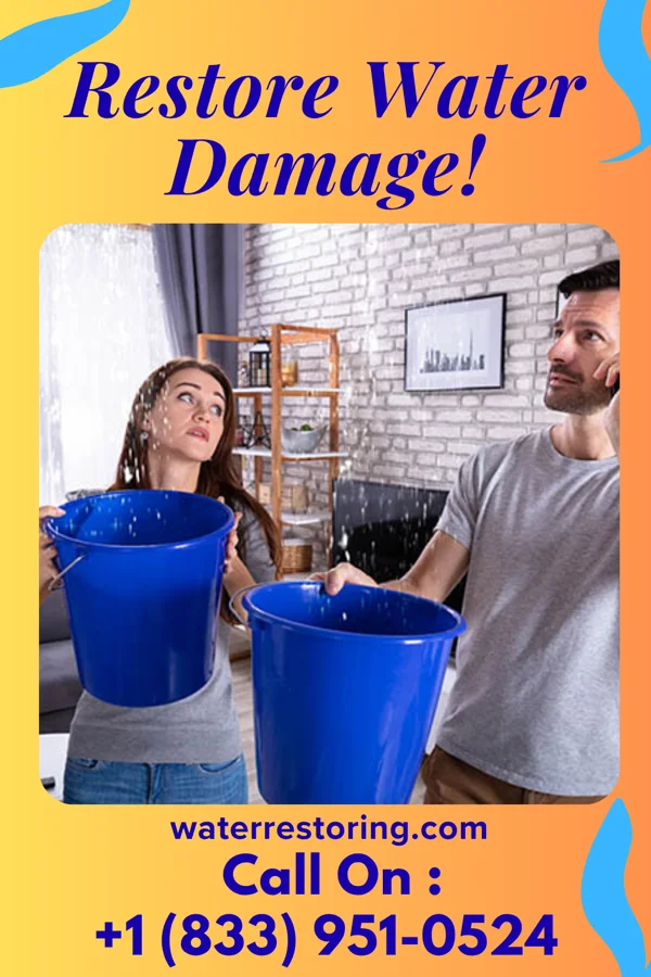 water restoration Central Water Damage Services Maple Plain