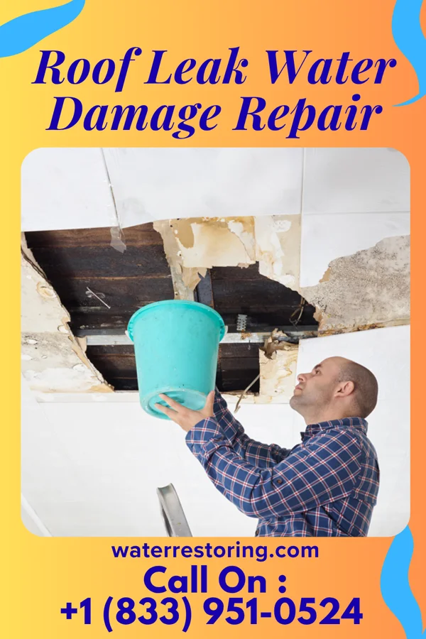 Roof Leak Water Damage Repair in Maple Plain, MN